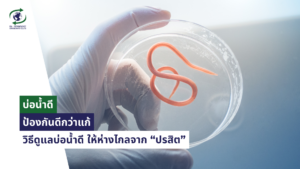 บ่อน้ำดี